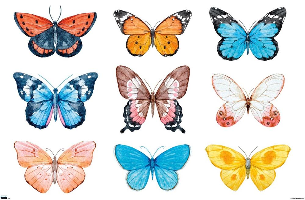 Image of Watercolor Butterflies