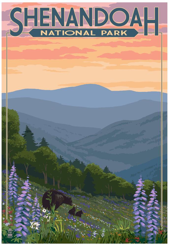 Image of Shenandoah National Park, Virginia - Black Bear and Cubs Spring Flowers