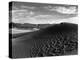 0-1-0038, Dunes and Clouds, 1947 (gelatin silver print)-Brett Weston-Premier Image Canvas