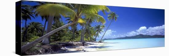 0130 Tropical Paradise-Doug Cavanah-Premier Image Canvas