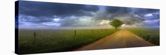 0432 The Road Home-Doug Cavanah-Premier Image Canvas