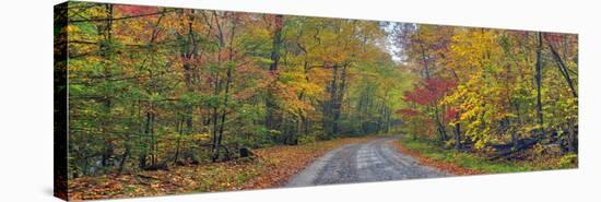 0627 Autumn Road-Doug Cavanah-Premier Image Canvas