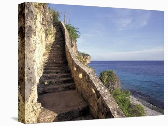 1,000 Steps Limestone Stairway in Cliff, Bonaire, Caribbean-Greg Johnston-Premier Image Canvas