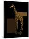 1 Gold Giraffe-Tina Lavoie-Premier Image Canvas