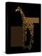 1 Gold Giraffe-Tina Lavoie-Premier Image Canvas