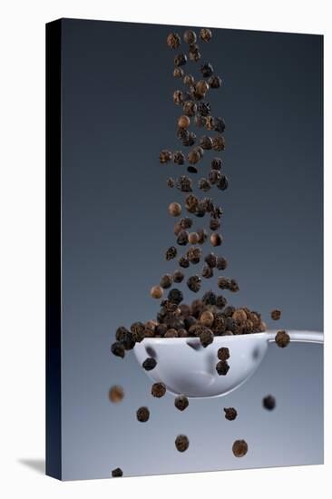 1 Tablespoon Black Pepper-Steve Gadomski-Premier Image Canvas