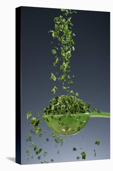 1 Tablespoon Chives-Steve Gadomski-Premier Image Canvas