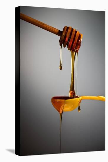 1 Tablespoon Honey-Steve Gadomski-Premier Image Canvas