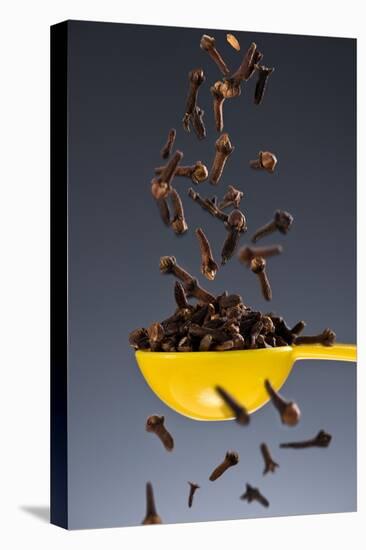 1 Tablespoon Whole Clove-Steve Gadomski-Premier Image Canvas