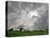 107th U.S. Open Championship, Oakmont, Pennsylvania-Gene J. Puskar-Premier Image Canvas