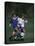 11 Year Old Boys Soccer Action-null-Premier Image Canvas