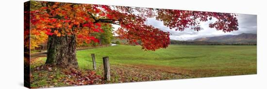 1157-Doug Cavanah-Premier Image Canvas