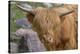 1161 Zoo Animals-Gordon Semmens-Stretched Canvas