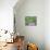 11COF-Pierre Henri Matisse-Premier Image Canvas displayed on a wall