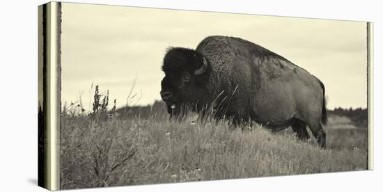 1205 Badlands B&W-Gordon Semmens-Stretched Canvas