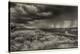 1306 Badlands B&W-Gordon Semmens-Stretched Canvas