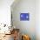 13CO-Pierre Henri Matisse-Premier Image Canvas displayed on a wall
