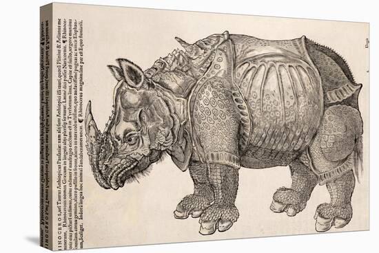 1551 Gesner Armoured Rhino After Durer-Paul Stewart-Premier Image Canvas