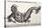 1560 Gesner Mermaid Sea Monster-Paul Stewart-Premier Image Canvas