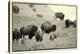 1567 Badlands B&W-Gordon Semmens-Stretched Canvas