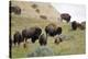 1567 Badlands-Gordon Semmens-Stretched Canvas