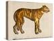 1607 Tiger by Topsell-Paul Stewart-Premier Image Canvas