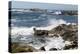 17-Mile Drive, Scenic Road Through Monterey, California-Carol Highsmith-Stretched Canvas
