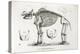 1812 American Mastodon Jefferson Mammoth-Stewart Stewart-Premier Image Canvas