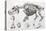 1812 Hippopotamus Skeleton by Cuvier-Stewart Stewart-Premier Image Canvas
