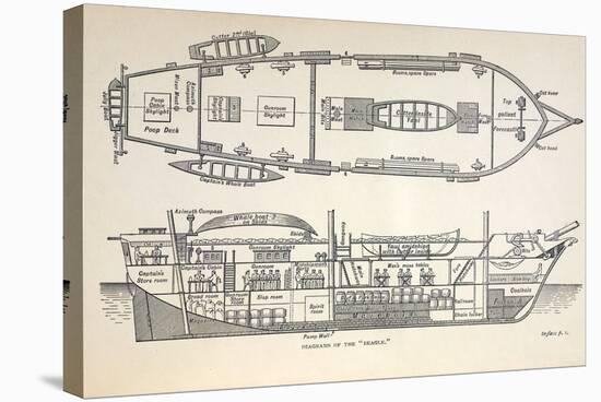 1832 Darwin's Ship HMS Beagle Plan-Paul Stewart-Premier Image Canvas