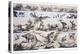 1860 Duncan's Prehistoric Epoch Panorama-Paul Stewart-Premier Image Canvas