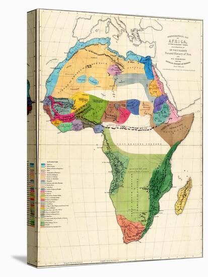 1861, Africa, Africa-null-Premier Image Canvas