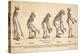 1863 Huxley From Ape To Man, Age-toned-Paul Stewart-Premier Image Canvas