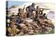 1880, Boers of the Transvaal Fighting at Majuba Hill During the First Boer War-Pat Nicolle-Premier Image Canvas