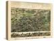 1882, Cheshire Bird's Eye View, Connecticut, United States-null-Premier Image Canvas