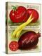 1893 Maule Tomatoes-Vintage Apple Collection-Premier Image Canvas