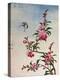 18th-Century Chinese Watercolor of Pink Flowers-null-Premier Image Canvas