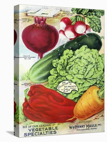 1915 Maule Seed Veggies-Vintage Apple Collection-Premier Image Canvas