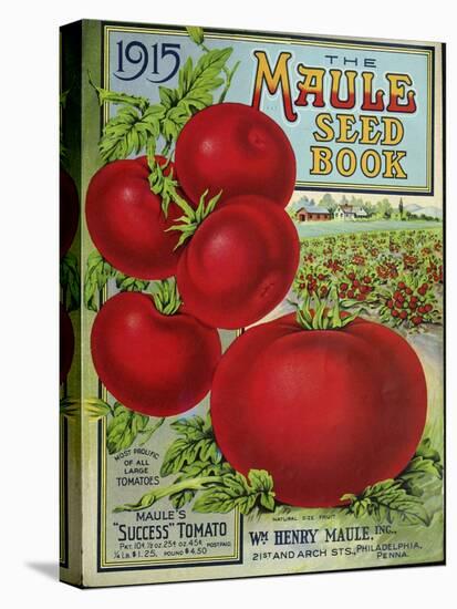 1915 Maule Tomato-Vintage Apple Collection-Premier Image Canvas