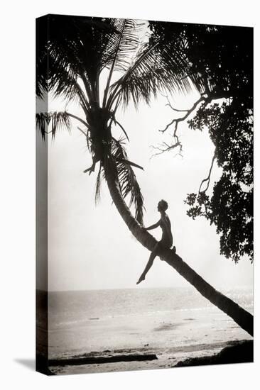 1920s ANONYMOUS SILHOUETTED YOUNG WOMAN MOVIE ACTRESS CLIMBING SITTING ON PALM TREE TRUNK SUSPEN...-H. Armstrong Roberts-Premier Image Canvas