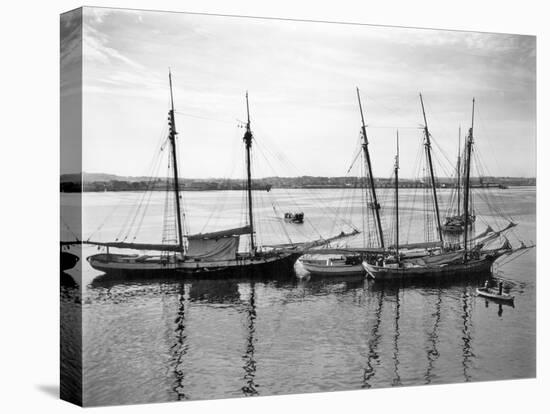 1930s-1940s Sailing Ships at Anchor Havana Harbor Cuba-null-Premier Image Canvas