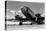 1940s DOMESTIC PROPELLER PASSENGER AIRPLANE DUAL ENGINE LANDING GEAR NOSE AND PARTIAL WINGS VISIBLE-H. Armstrong Roberts-Premier Image Canvas