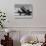 1940s Passenger Airplane-H^ Armstrong Roberts-Stretched Canvas displayed on a wall