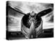 1945: Single Engine Plane-Stephen Arens-Premier Image Canvas