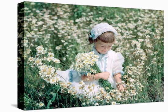 1950s 1960s LITTLE GIRL IN WHITE HAT AND DRESS PICKING WILDFLOWERS DAISES SITTING IN A WILD FLOW...-H. Armstrong Roberts-Premier Image Canvas