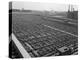 1950s Aerial View of Cattle Pens at the Union Stock Yard and Transit Company Chicago,-null-Premier Image Canvas