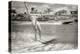 1950s EXCITED WOMAN WATER SKIING POWER BOAT SPEEDING IN BACKGROUND ON PALM TREE LINED CANAL MIAM...-H. Armstrong Roberts-Premier Image Canvas