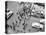 1950s New York City, NY 5th Avenue Overhead View of Traffic and Pedestrians Crossing Street-null-Premier Image Canvas