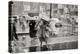 1950s PEDESTRIANS WOMAN HOLDING BOX OVER HEAD CAUGHT IN SUDDEN RAIN STORM 12TH & MARKET STREETS...-H. Armstrong Roberts-Premier Image Canvas