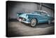 1956 Ford Thunderbird-Stephen Arens-Premier Image Canvas